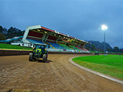 Krško