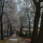 Stadion żużlowy w Zielonej Górze