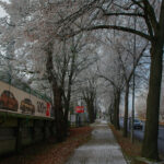 Stadion żużlowy w Zielonej Górze